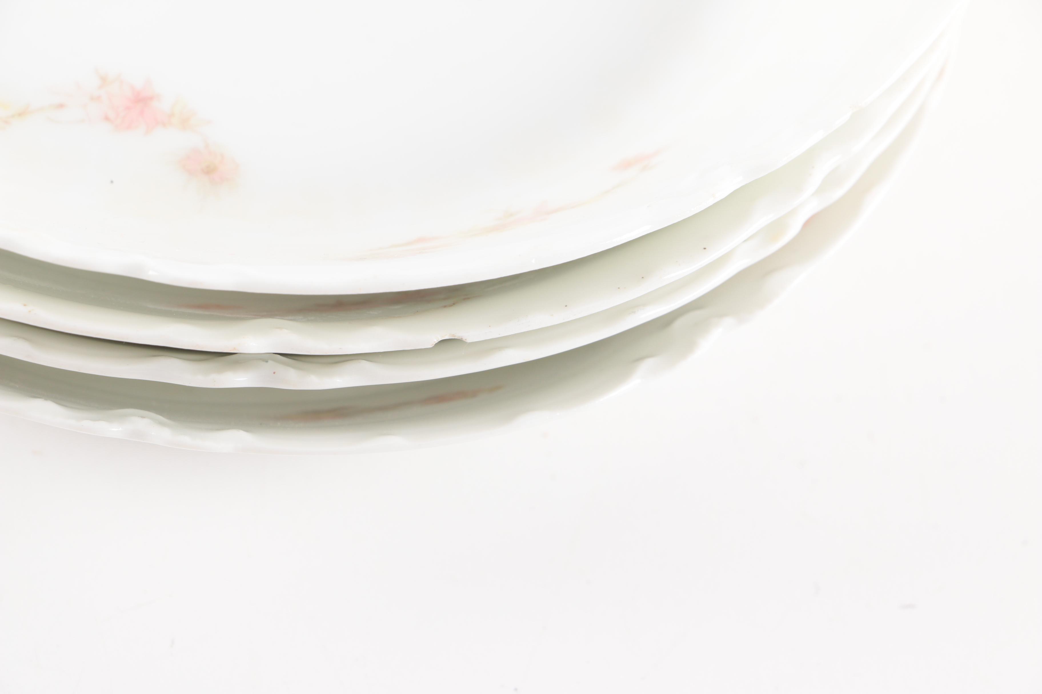 Antique and Vintage Haviland & Co. Limoges Porcelain Tableware