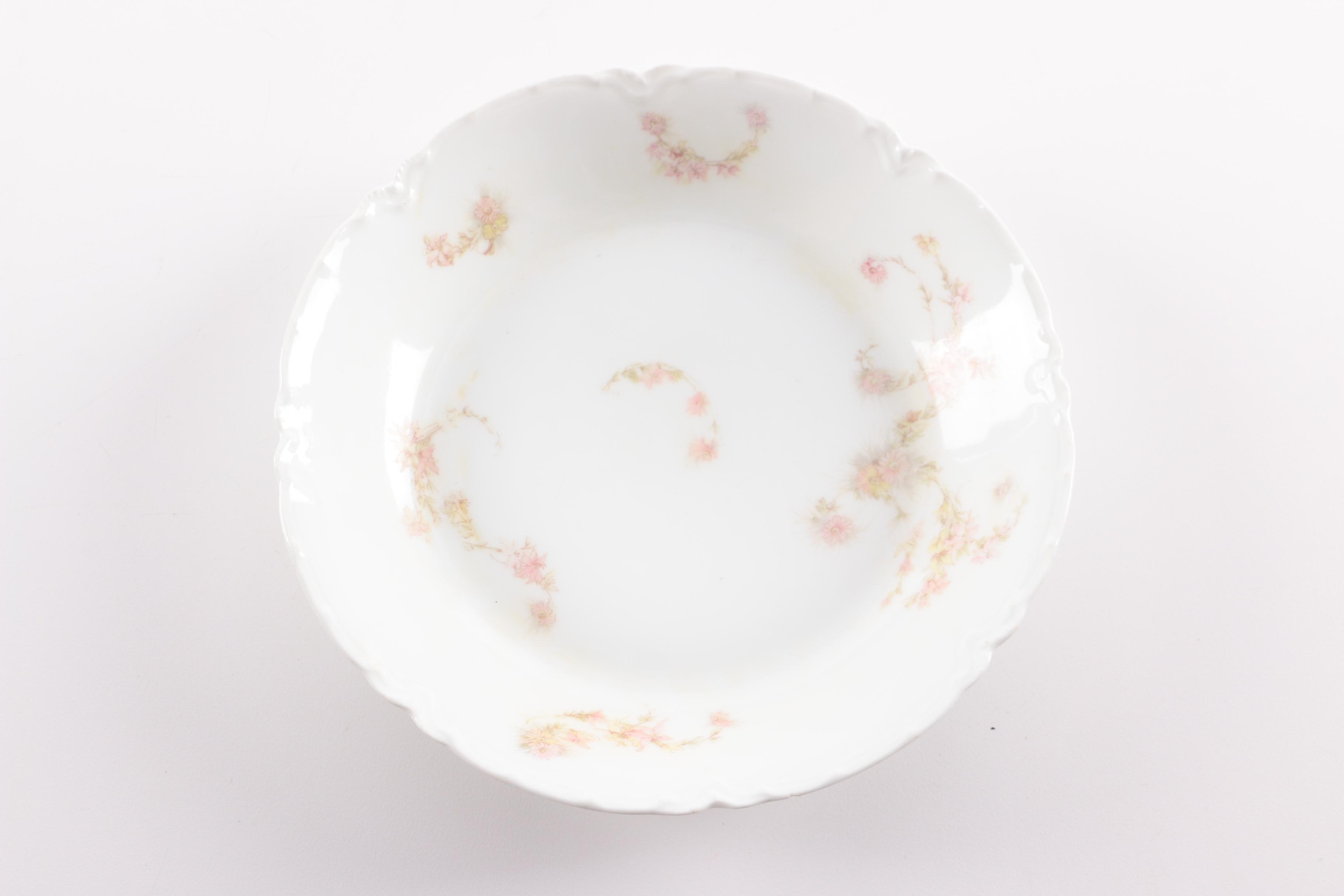 Antique and Vintage Haviland & Co. Limoges Porcelain Tableware