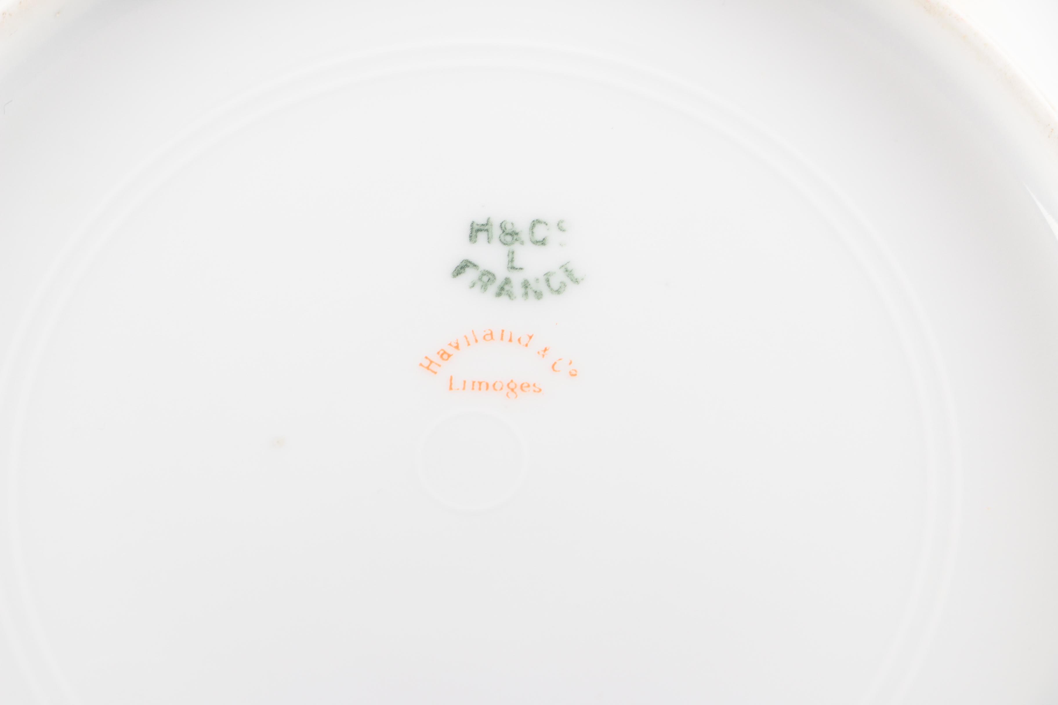 Antique and Vintage Haviland & Co. Limoges Porcelain Tableware