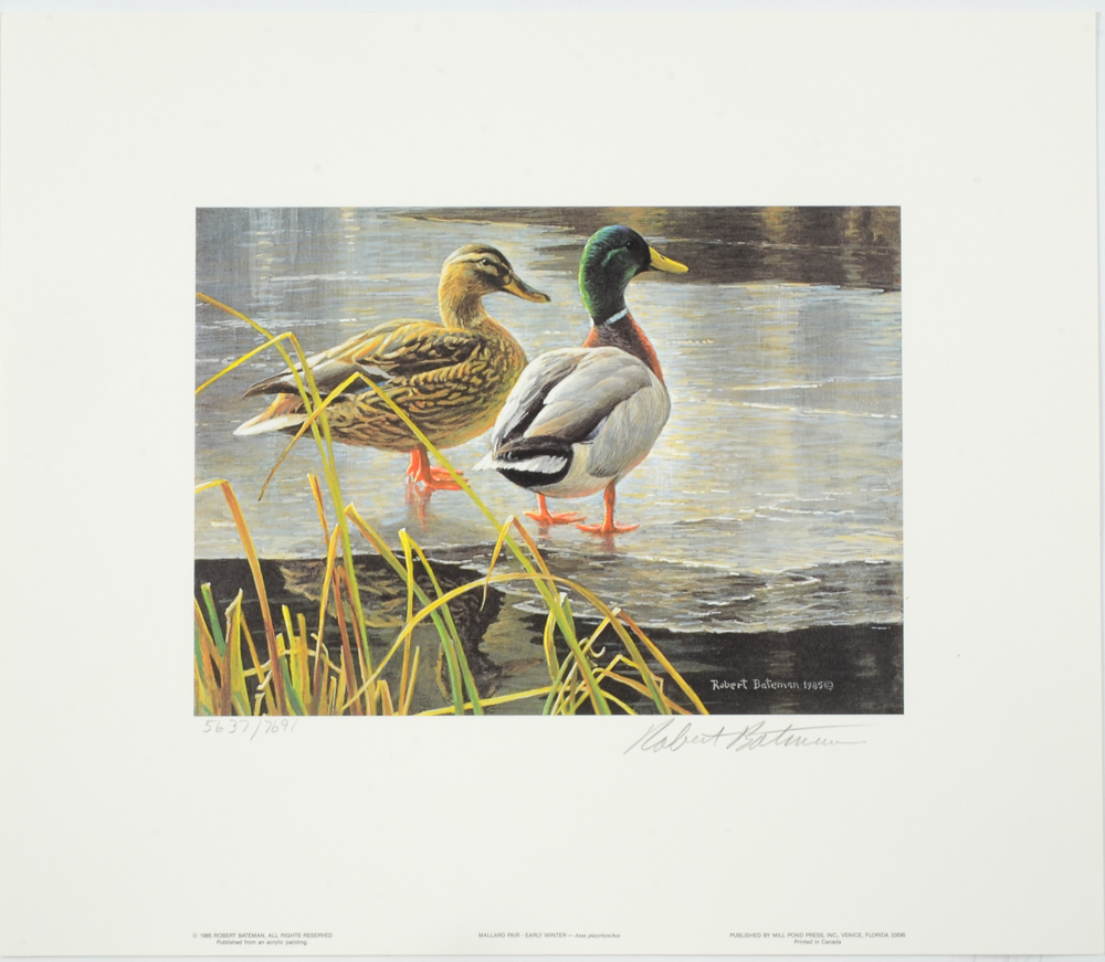 Robert Bateman Signed Limited Edition Print and Stamps "Mallard Pair"