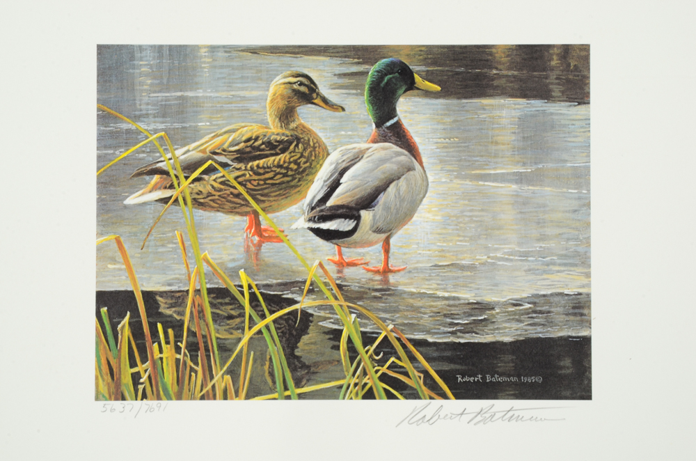 Robert Bateman Signed Limited Edition Print and Stamps "Mallard Pair"
