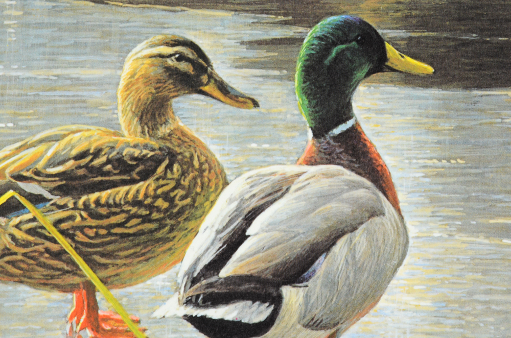 Robert Bateman Signed Limited Edition Print and Stamps "Mallard Pair"