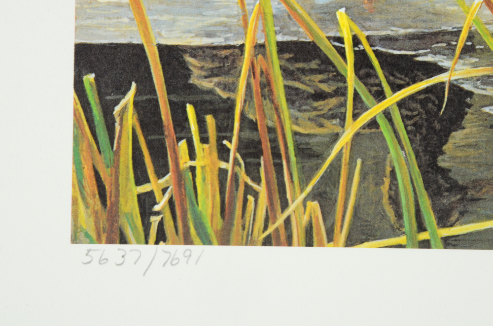 Robert Bateman Signed Limited Edition Print and Stamps "Mallard Pair"