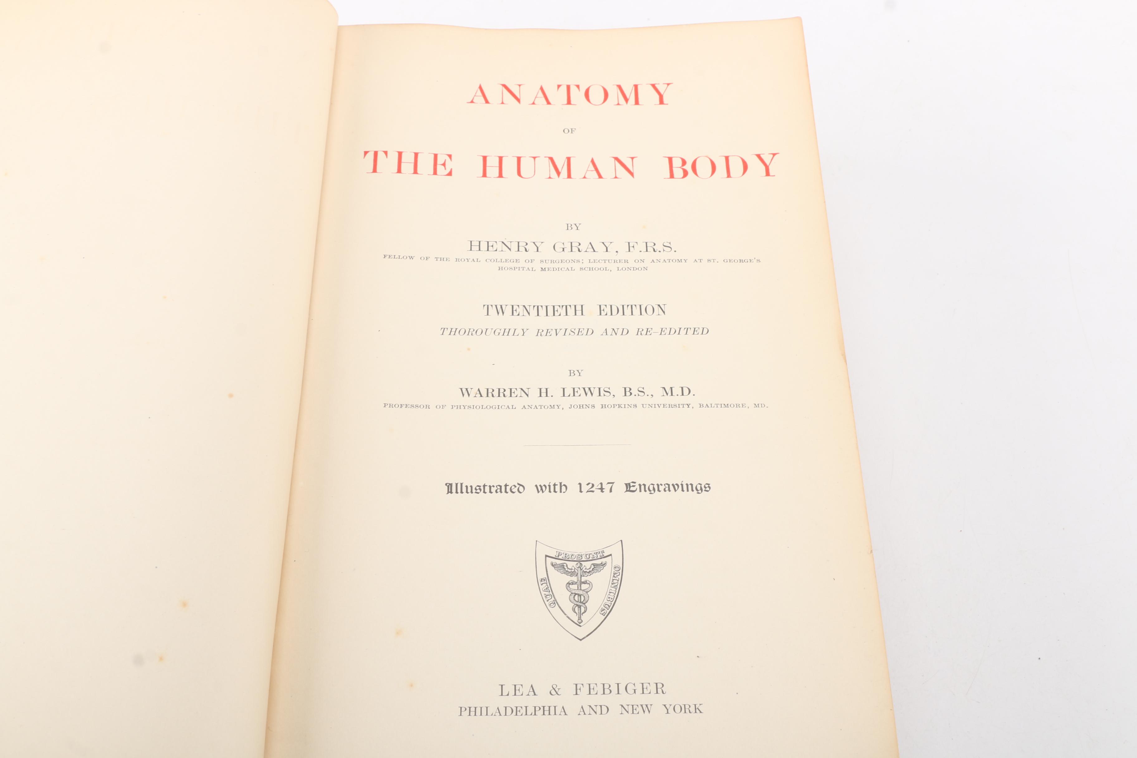 1918 "Anatomy of the Human Body" by Henry Gray Twentieth Edition