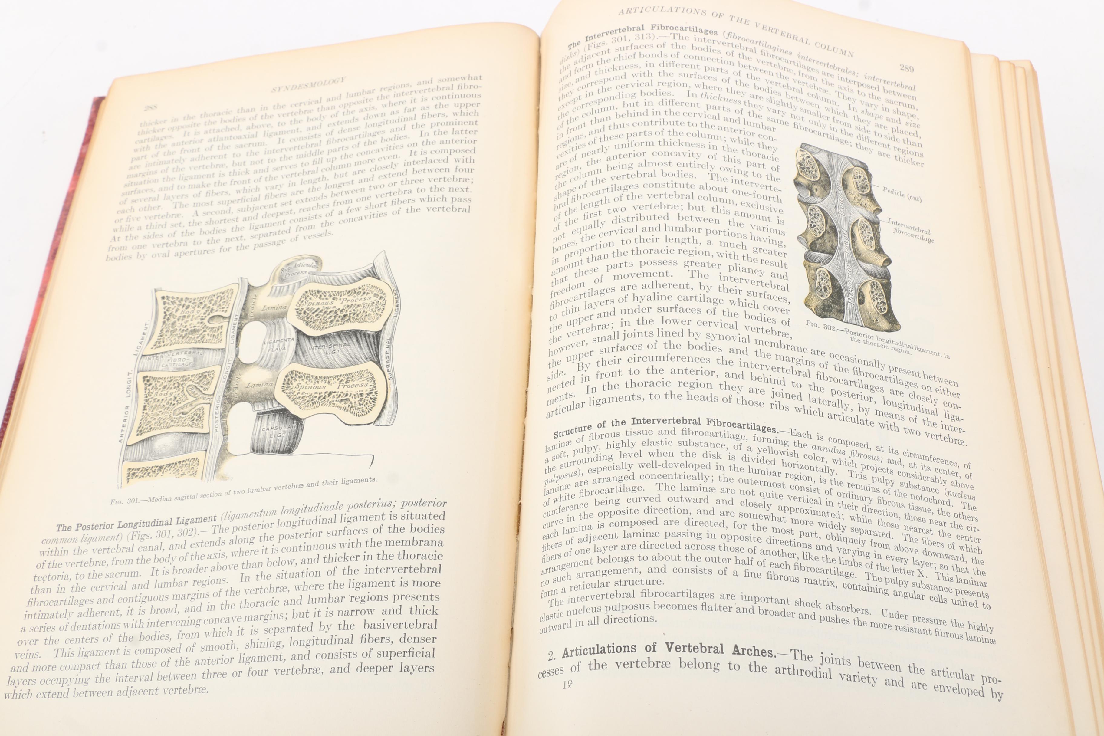 1918 "Anatomy of the Human Body" by Henry Gray Twentieth Edition