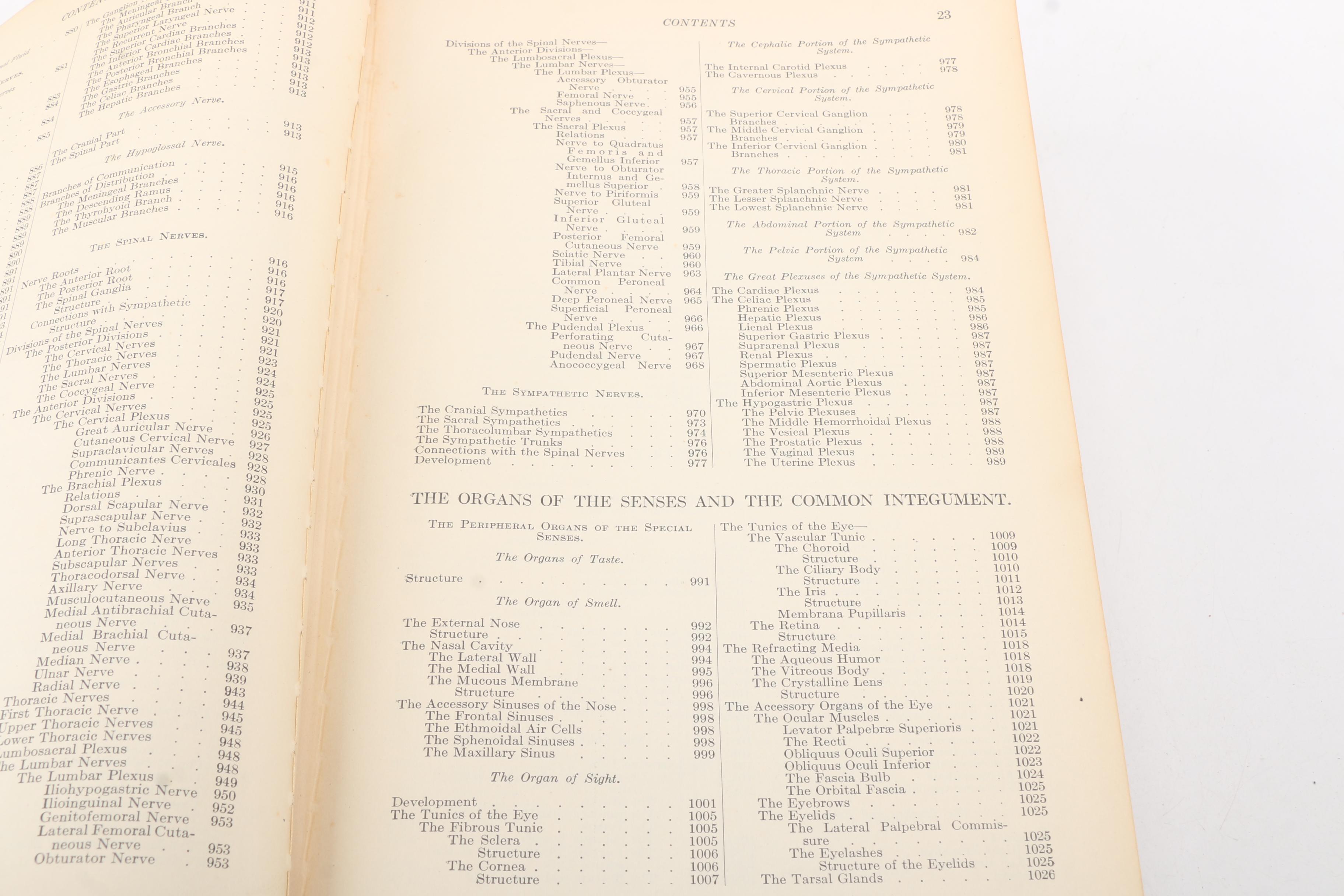 1918 "Anatomy of the Human Body" by Henry Gray Twentieth Edition