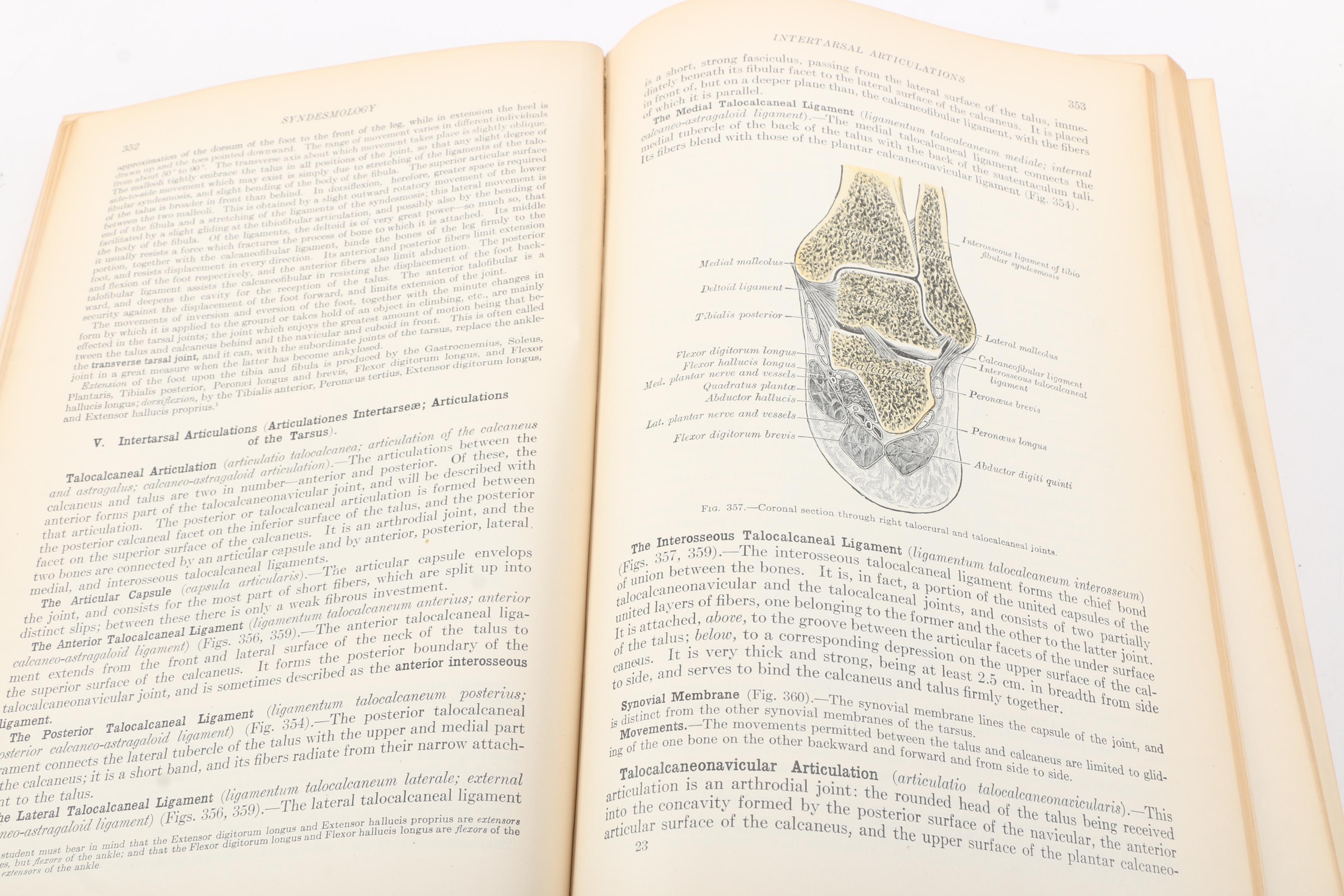 1918 "Anatomy of the Human Body" by Henry Gray Twentieth Edition