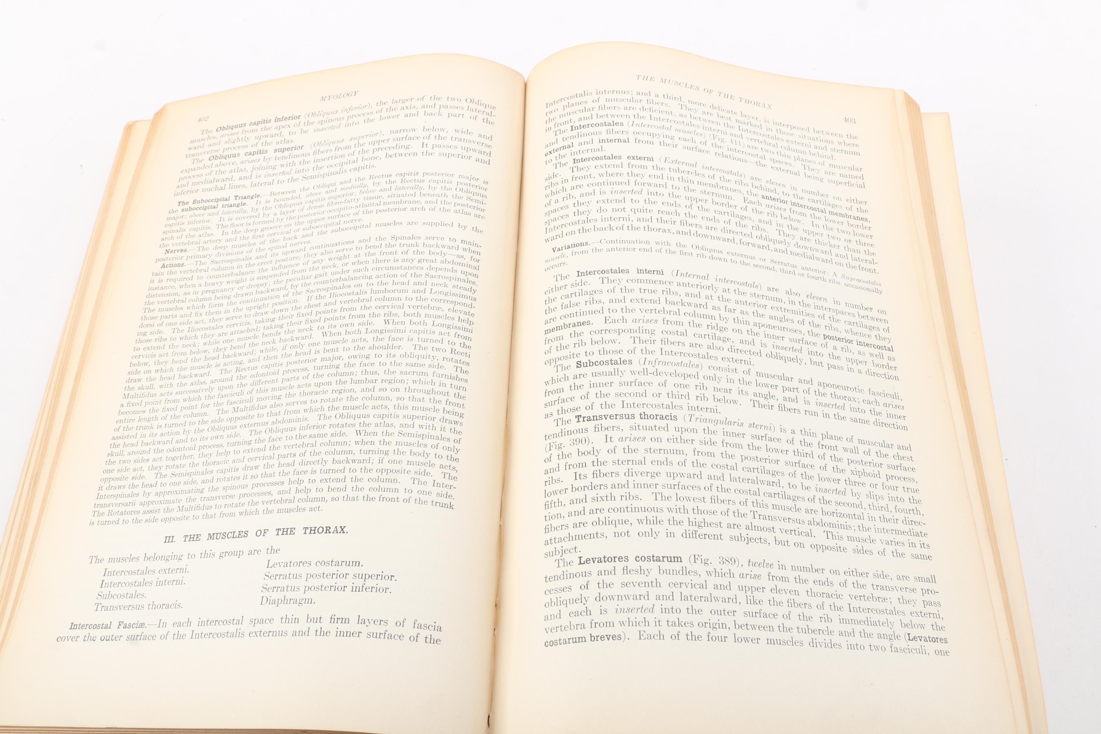 1918 "Anatomy of the Human Body" by Henry Gray Twentieth Edition