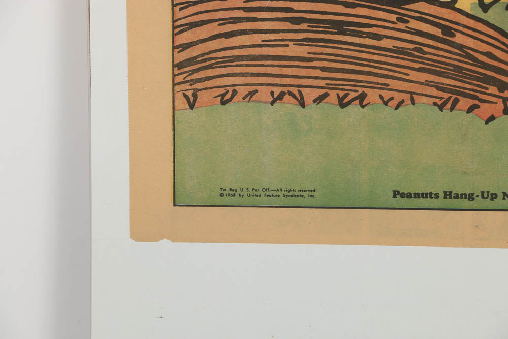 Charles M. Schulz Comic Print "Peanuts Hang-Up No. 5: Charlie Brown and Snoopy"