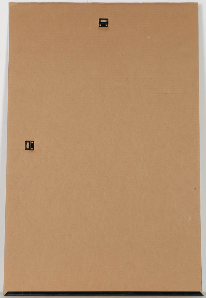 Charles M. Schulz Comic Print "Peanuts Hang-Up No. 5: Charlie Brown and Snoopy"