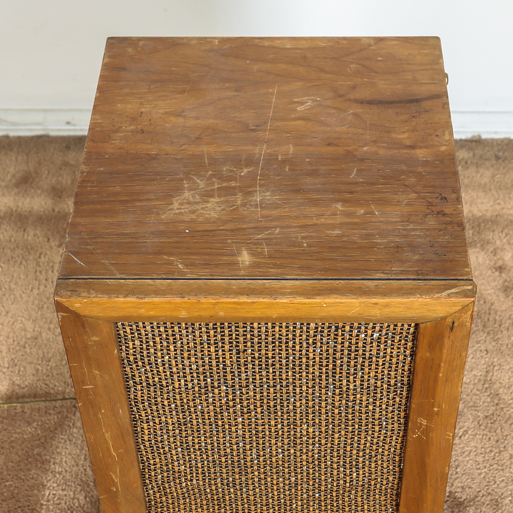 Vintage Floor Speakers