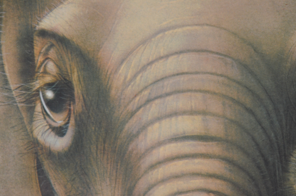 Vintage Cincinnati Zoo Poster after Lou Specker Illustration