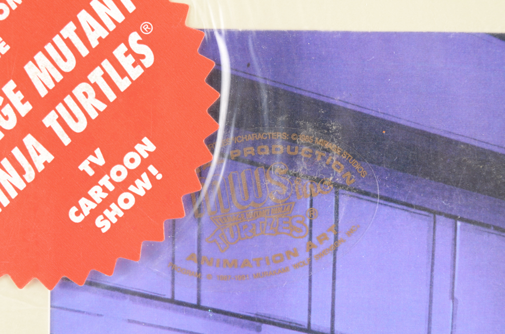 Michelangelo Teenage Mutant Ninja Turtles Animation Cels