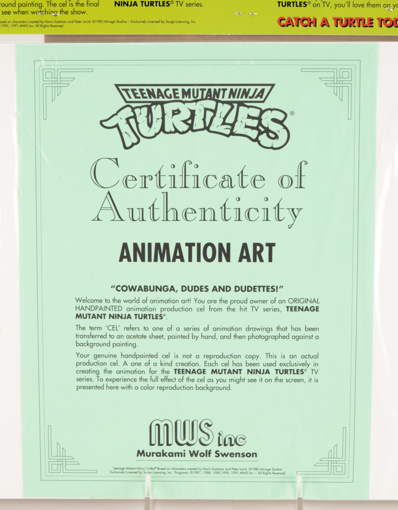 Michelangelo Teenage Mutant Ninja Turtles Animation Cels