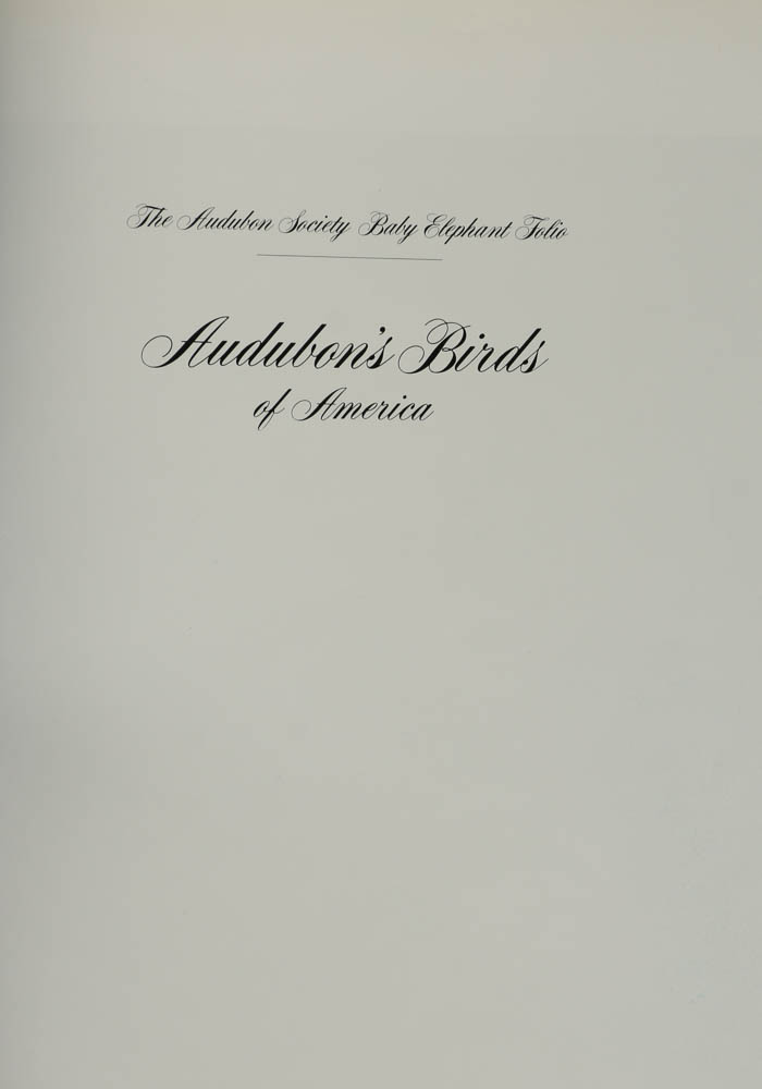 Baby Elephant Folio "Audobon's Birds of America"