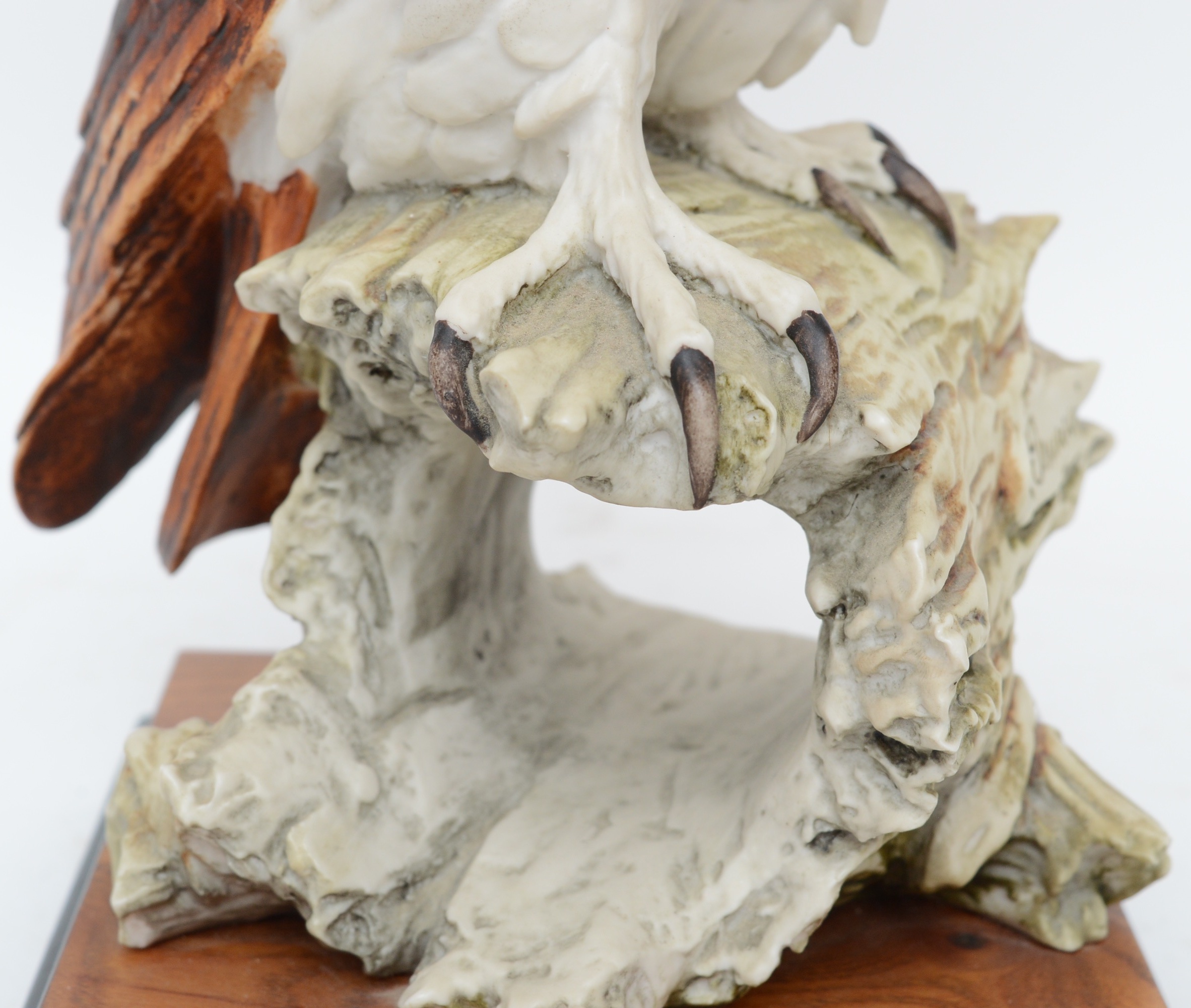 Giuseppe Armani Great Horned Owl