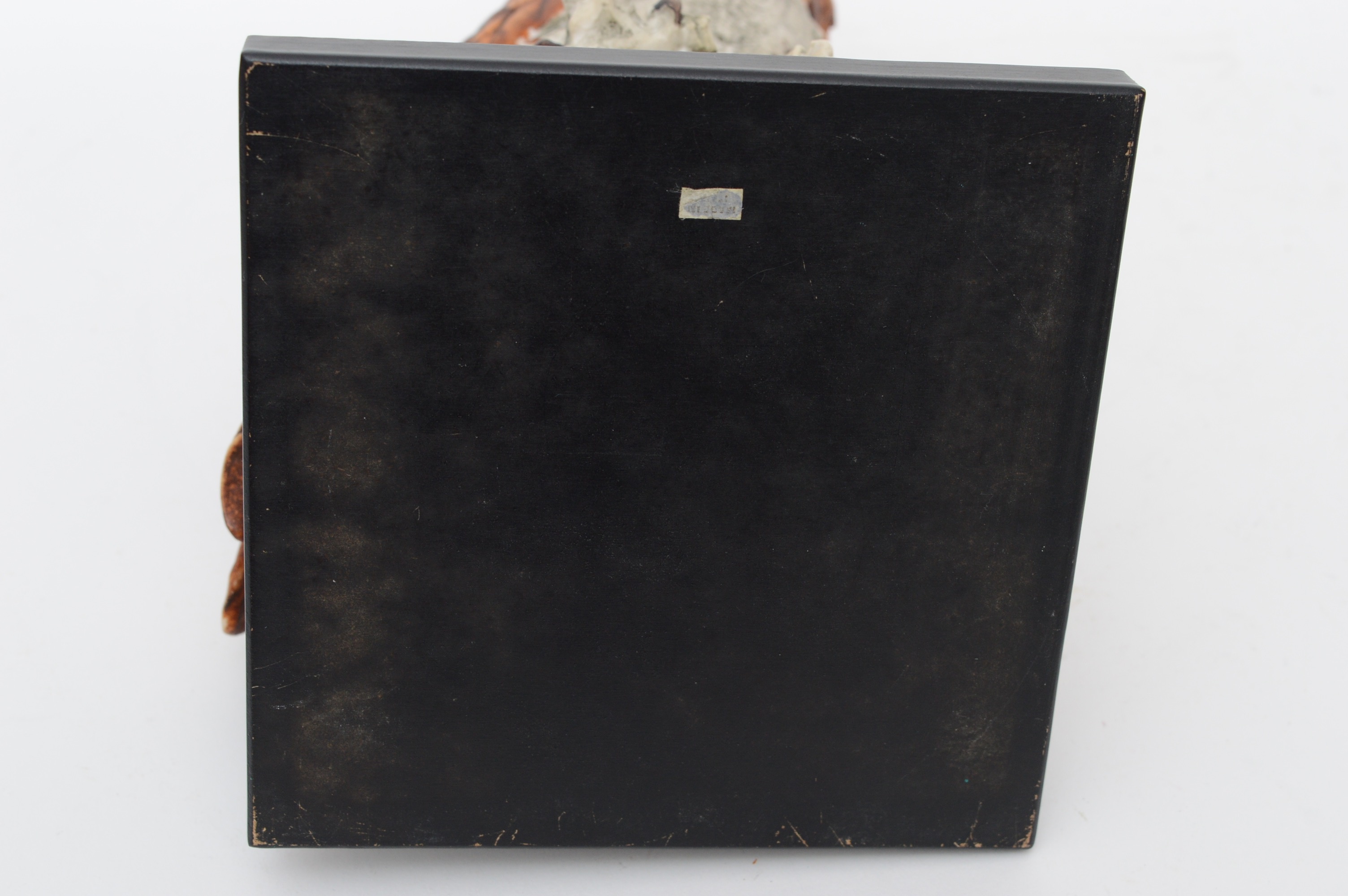 Giuseppe Armani Great Horned Owl