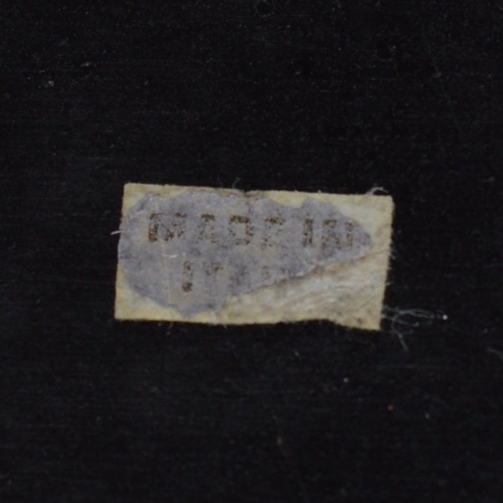 Giuseppe Armani Great Horned Owl