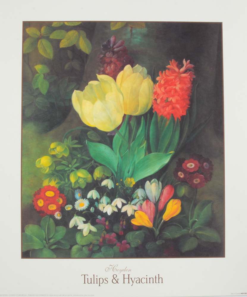Three Botanical Offset Lithograph Prints