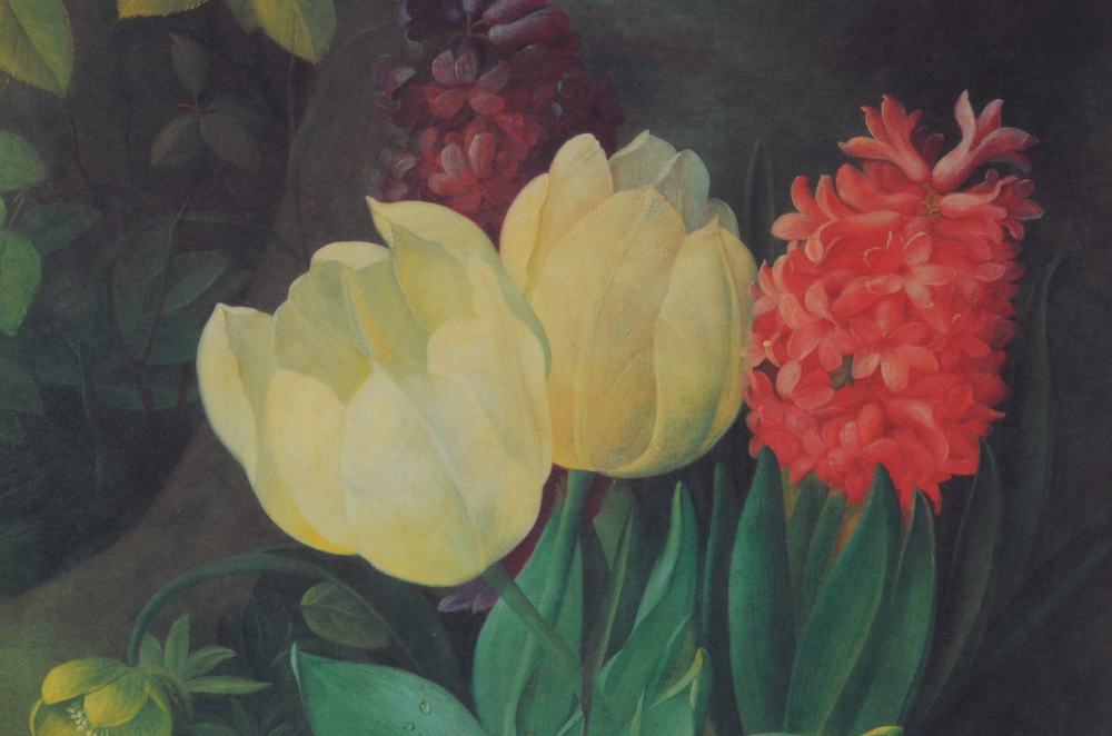 Three Botanical Offset Lithograph Prints