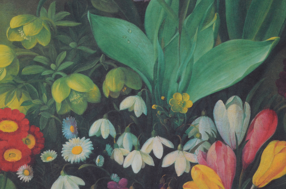 Three Botanical Offset Lithograph Prints