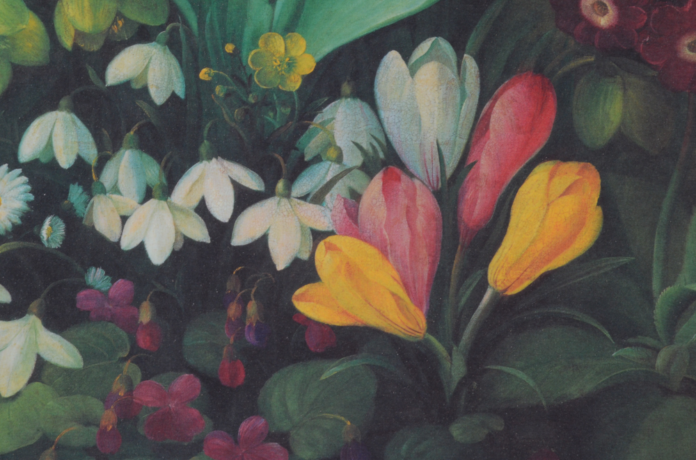 Three Botanical Offset Lithograph Prints