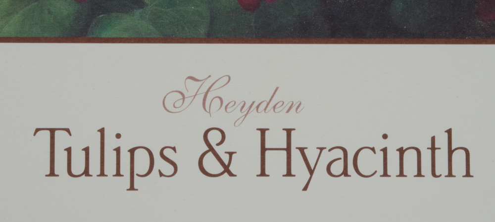 Three Botanical Offset Lithograph Prints