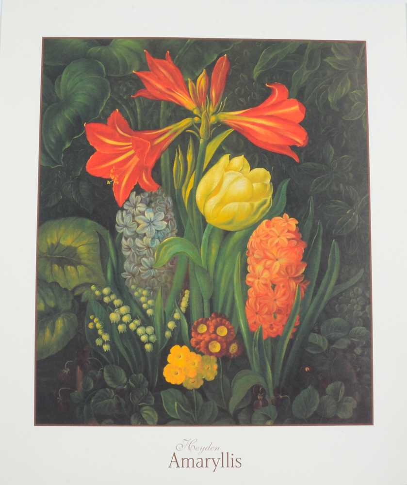 Three Botanical Offset Lithograph Prints