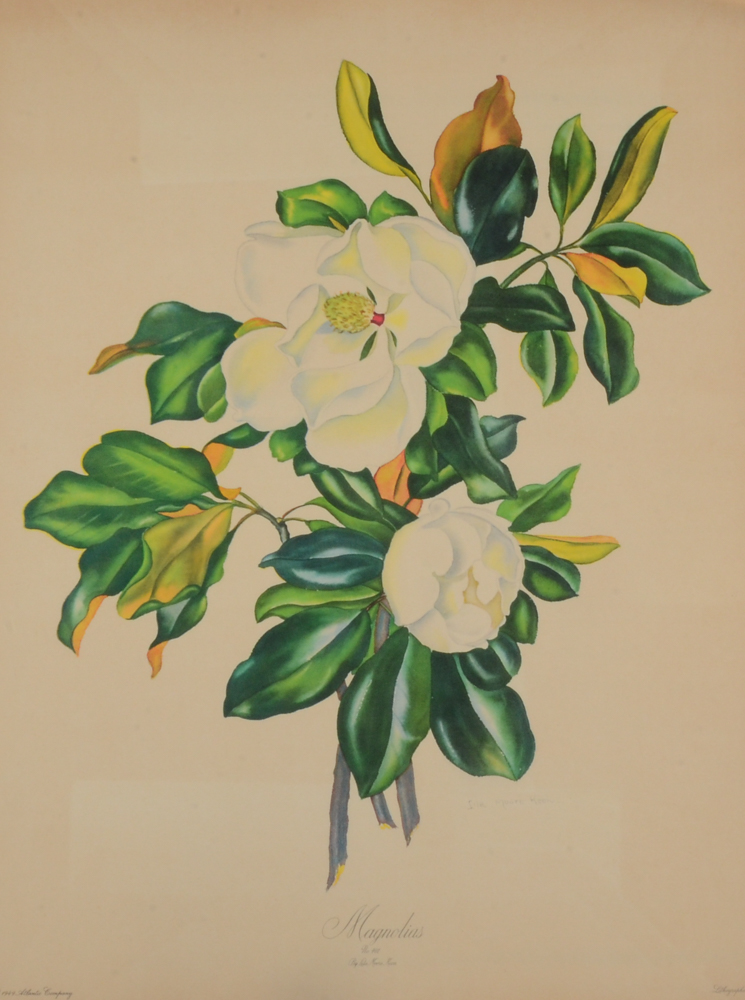 Three Botanical Offset Lithograph Prints