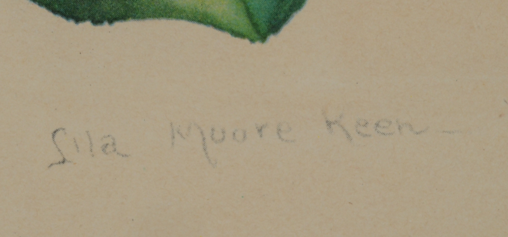 Three Botanical Offset Lithograph Prints