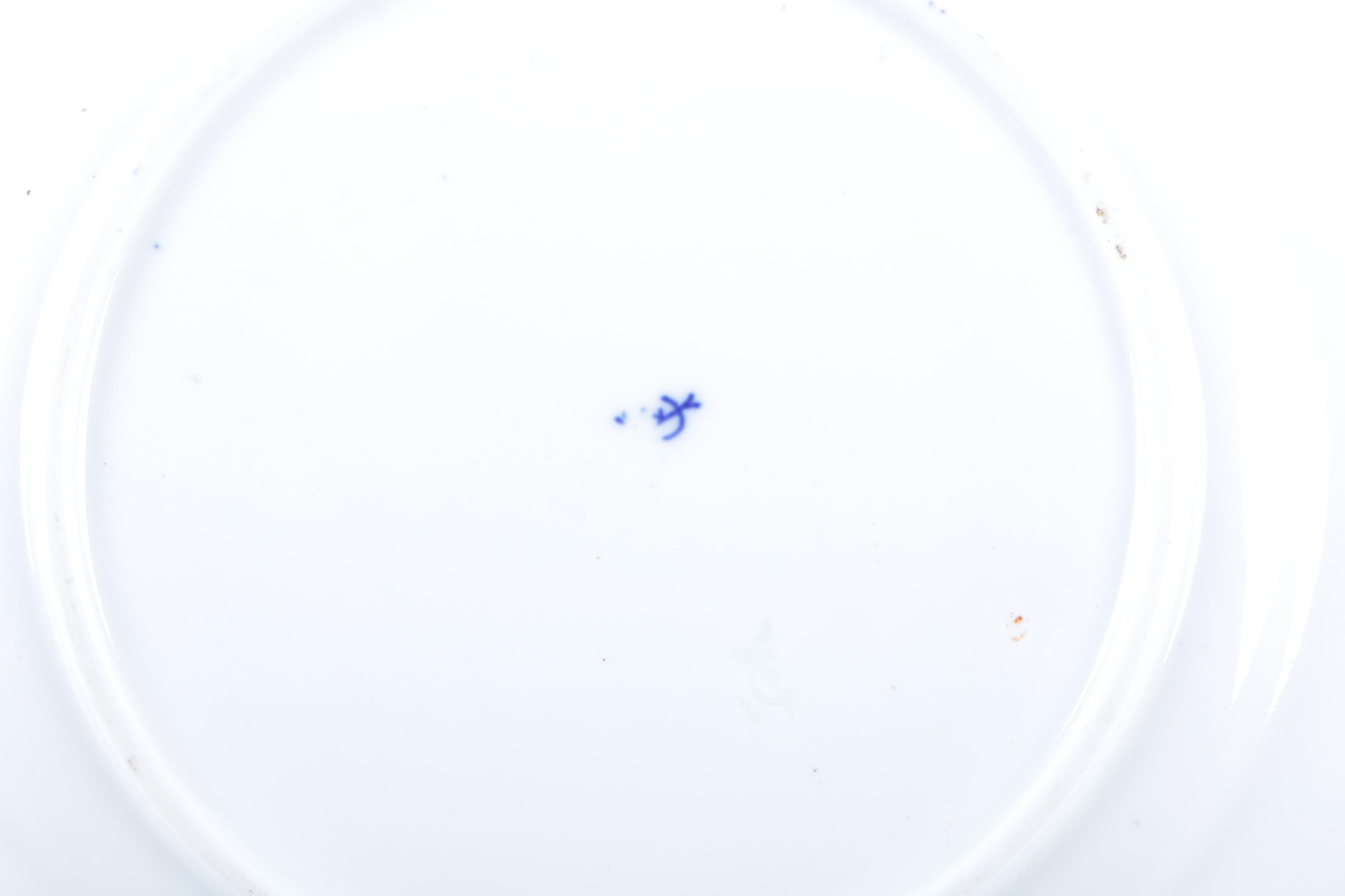 Blue & White Floral Dinner and Salad Plates