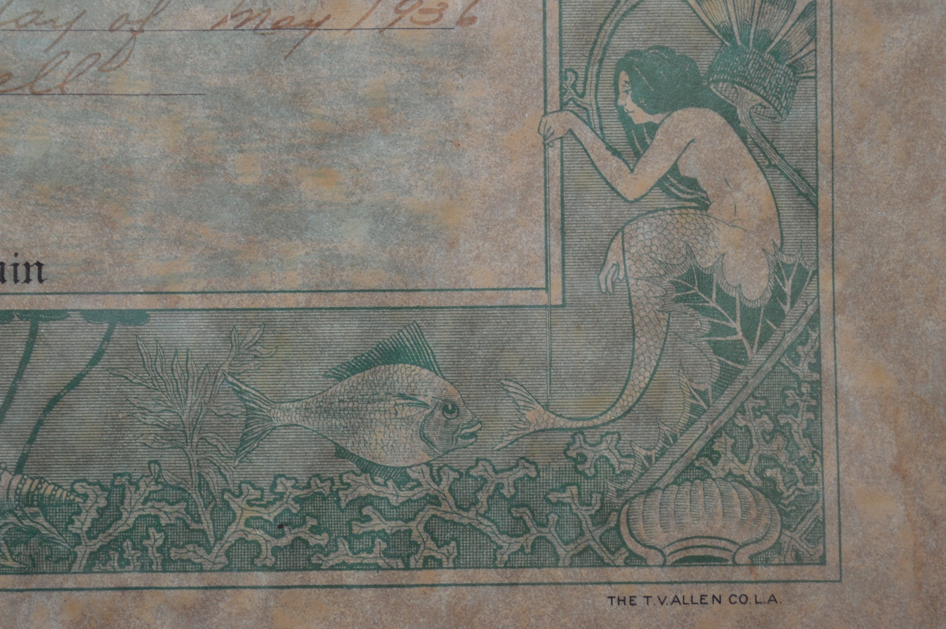 United States Navy USS Arizona Shellback Certificate