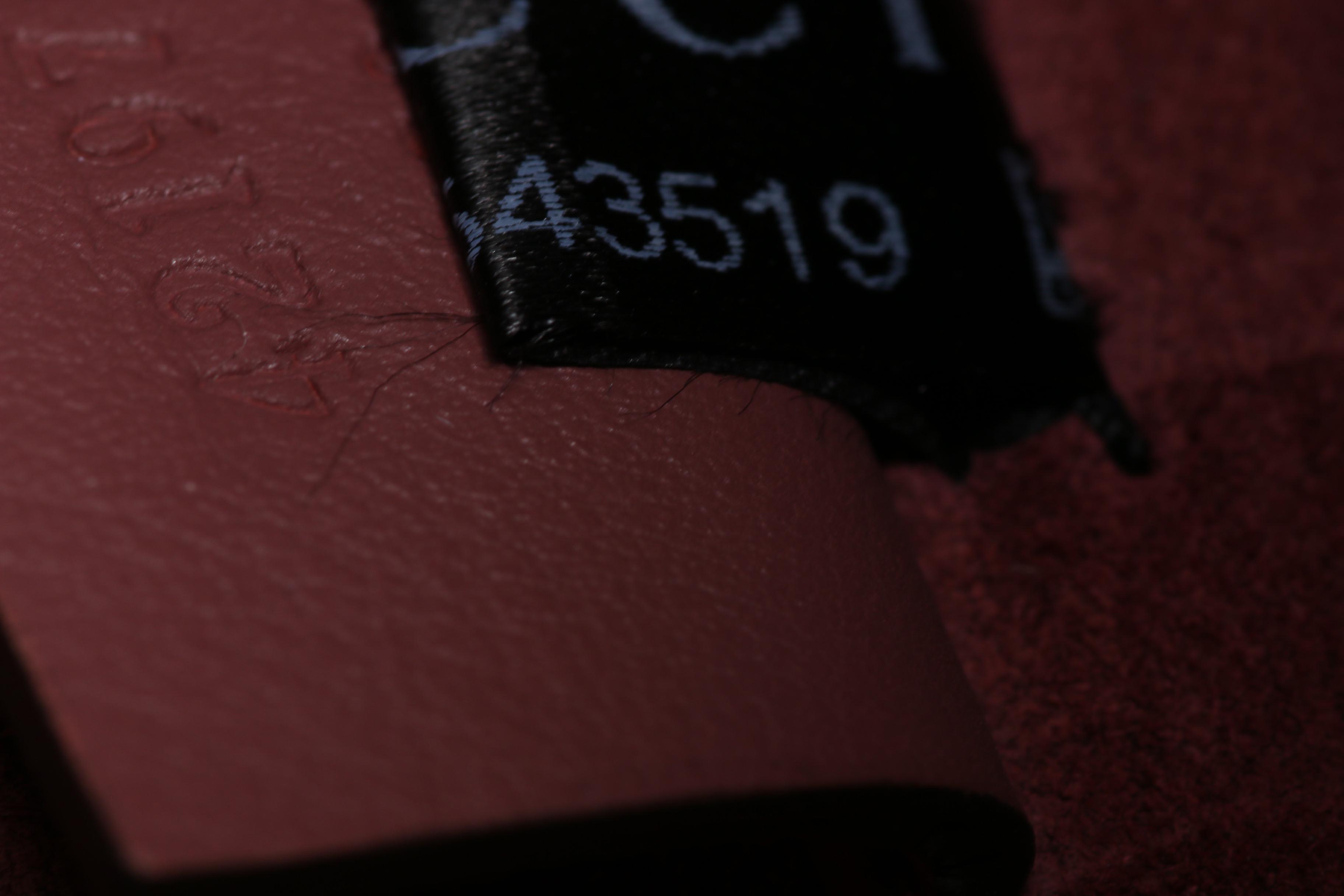 Gucci Dionysus GG Blooms Mini Bag