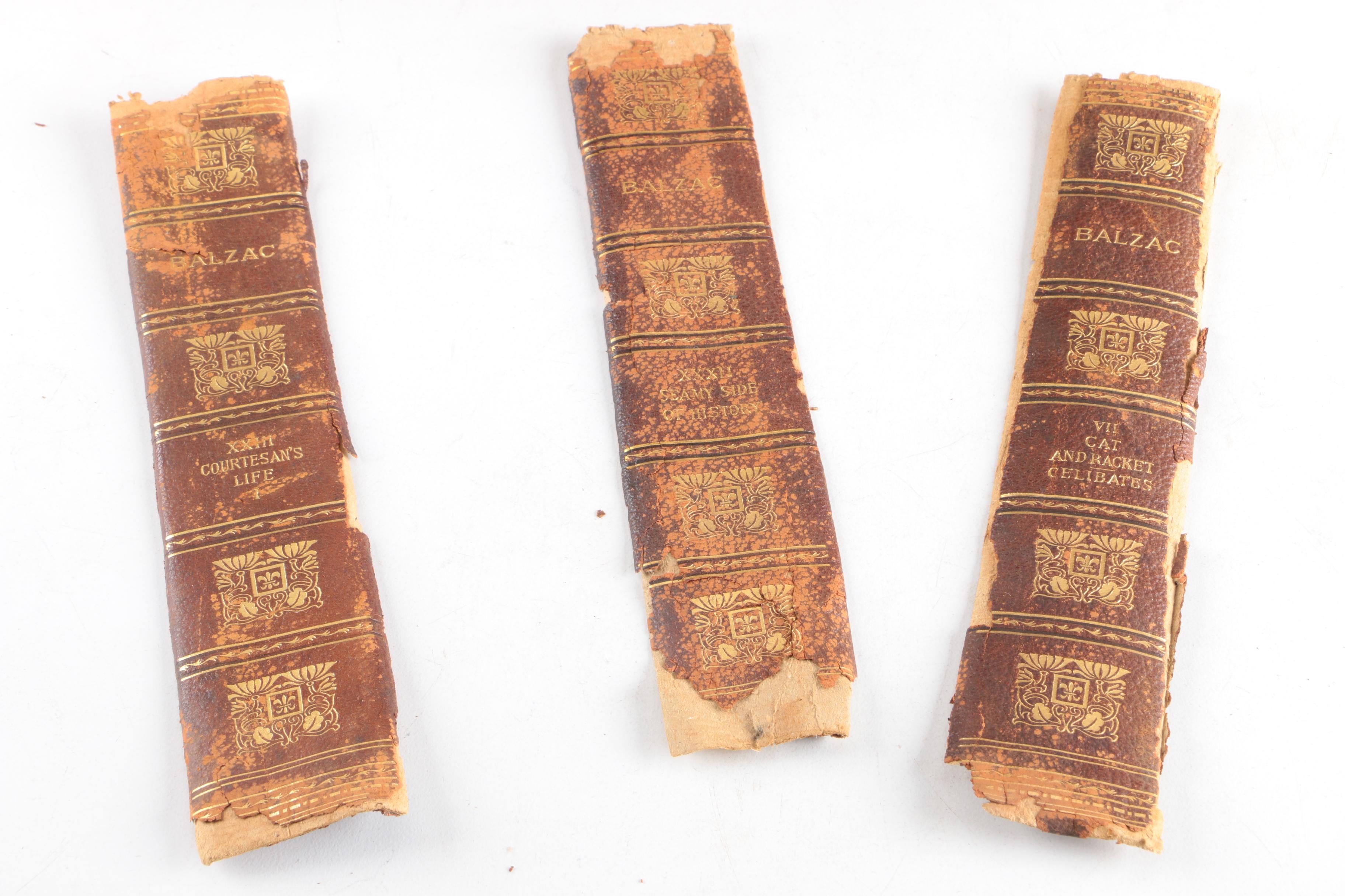 1901 "The Works of Honoré de Balzac" in Twenty-Two Volumes