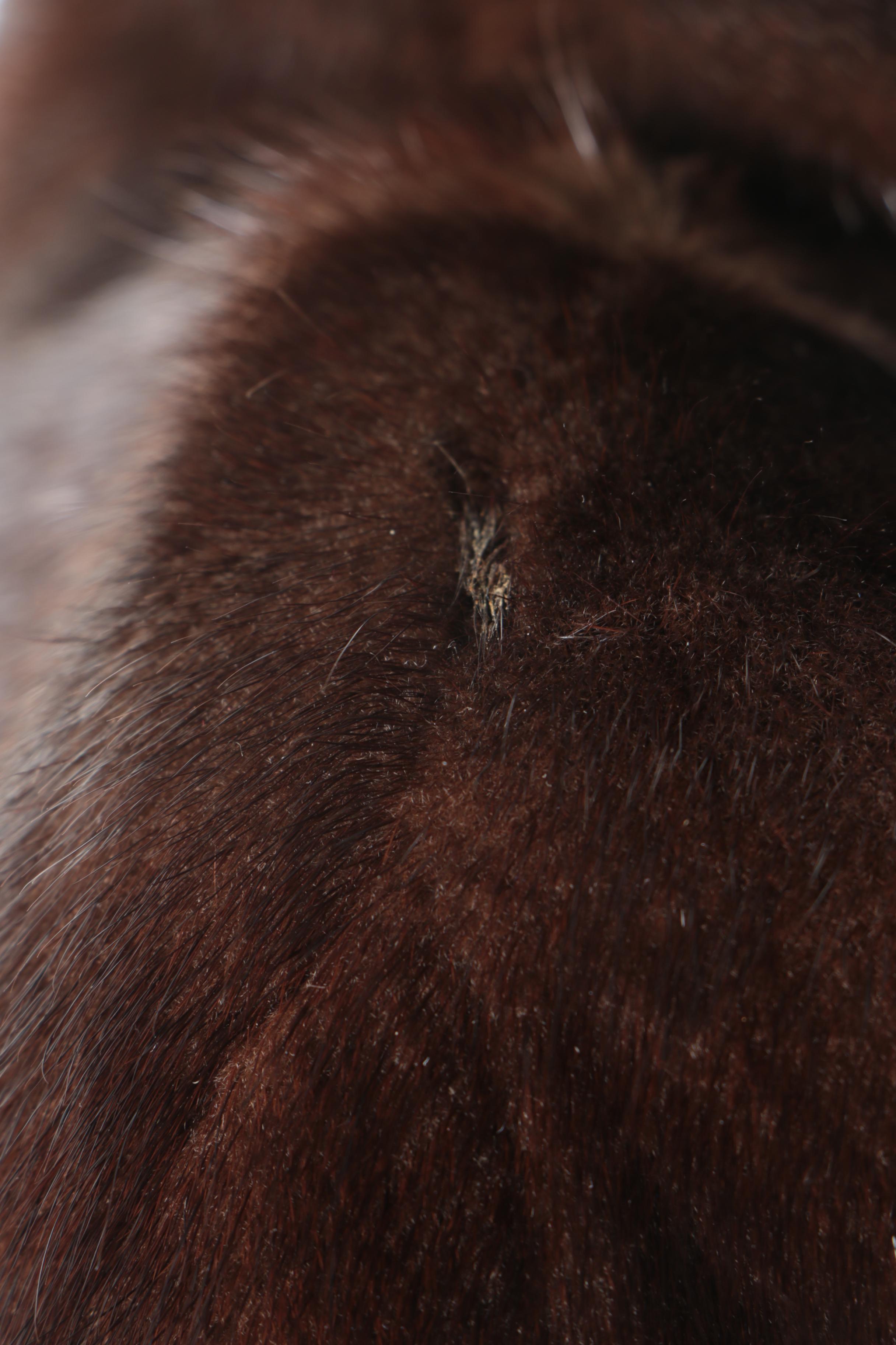 Vintage The Parisian Mink Fur Coat