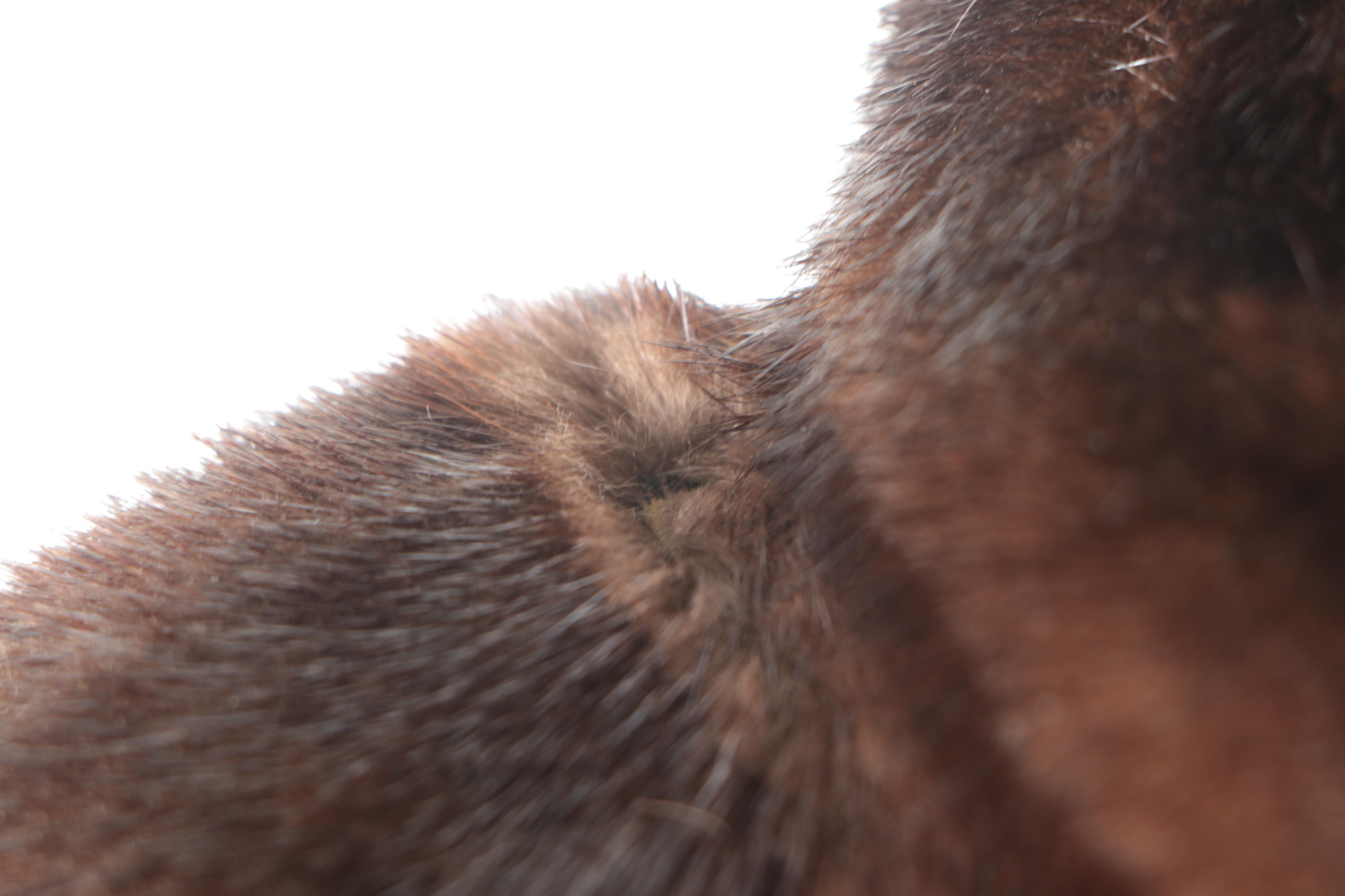 Vintage The Parisian Mink Fur Coat