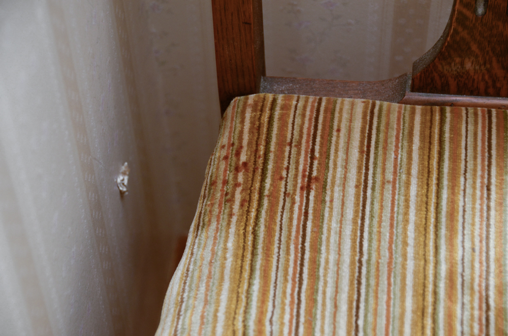 Set of Vintage Dining Chairs