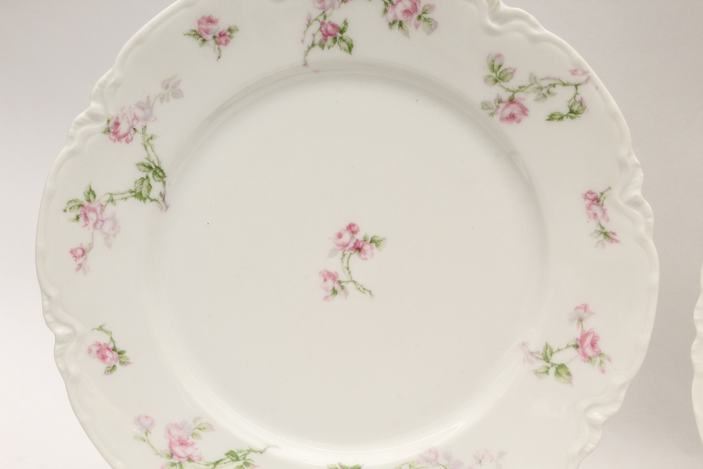 Haviland & Co. Limoges Porcelain Dish Set