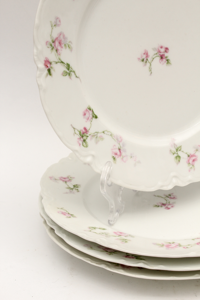 Haviland & Co. Limoges Porcelain Dish Set