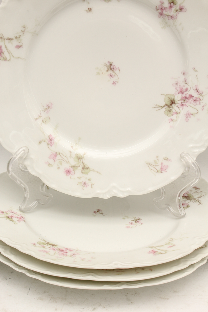 Haviland & Co. Limoges Porcelain Dish Set
