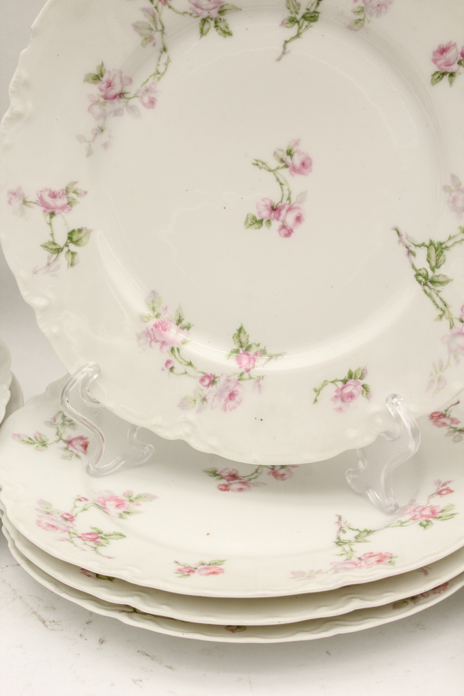 Haviland & Co. Limoges Porcelain Dish Set