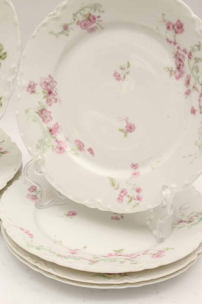 Haviland & Co. Limoges Porcelain Dish Set