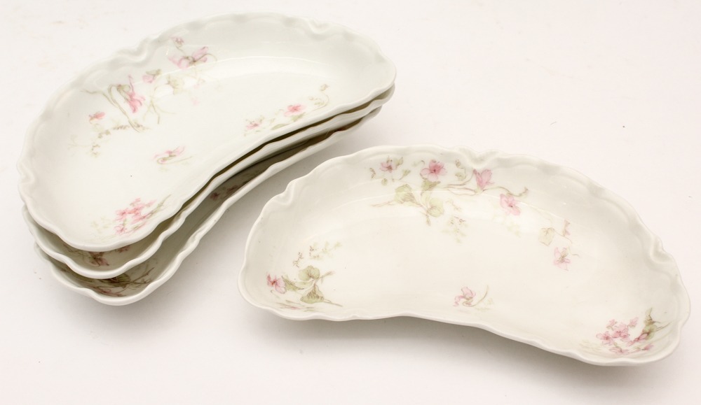 Haviland & Co. Limoges Porcelain Dish Set