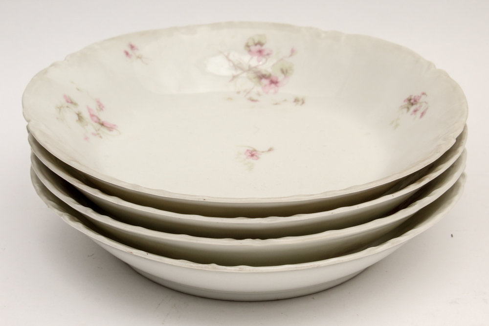 Haviland & Co. Limoges Porcelain Dish Set