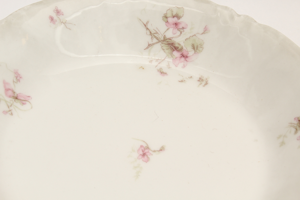 Haviland & Co. Limoges Porcelain Dish Set