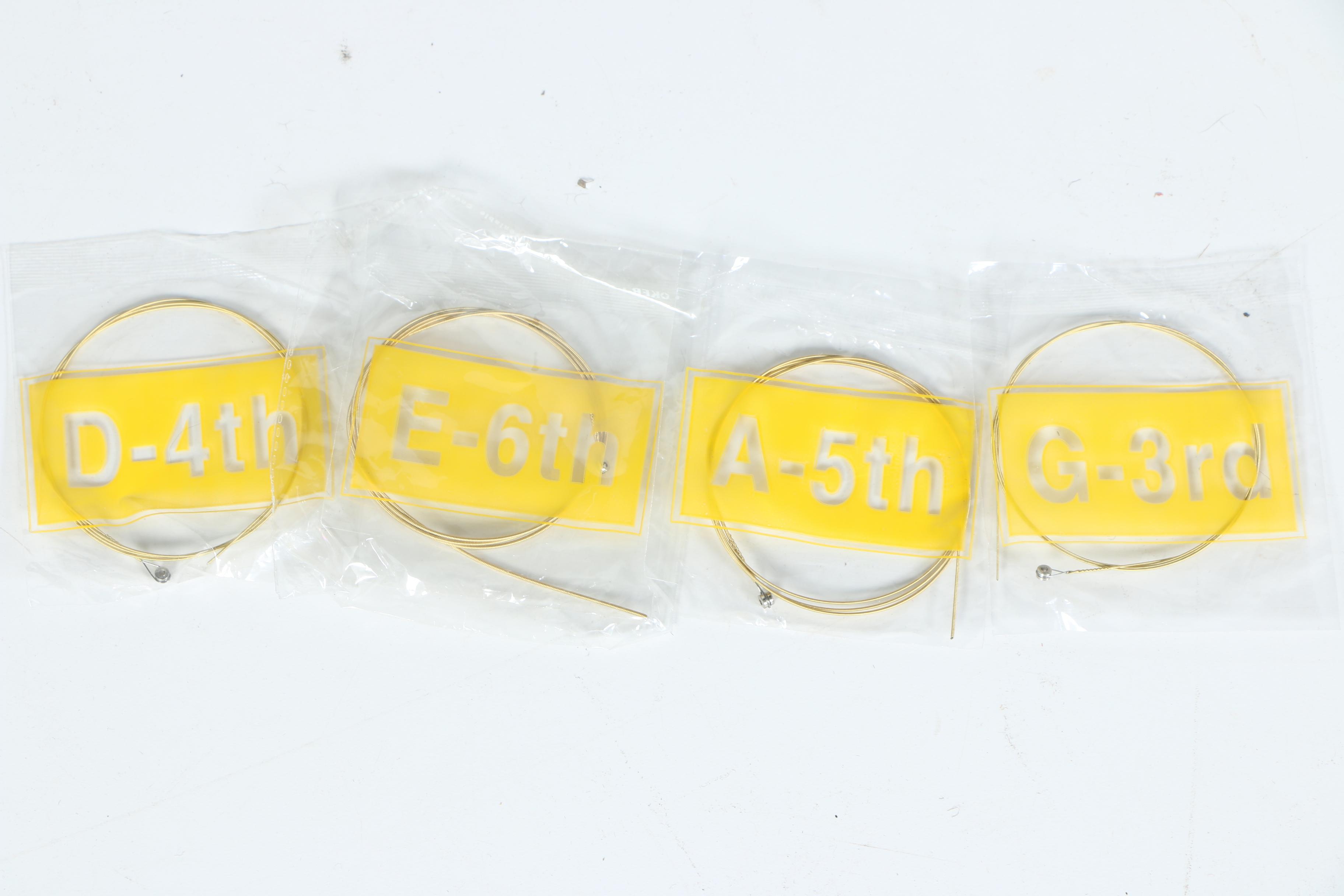 Esteban "American Legacy" AL-100 Acoustic-Electric Guitar with Case and Tuner