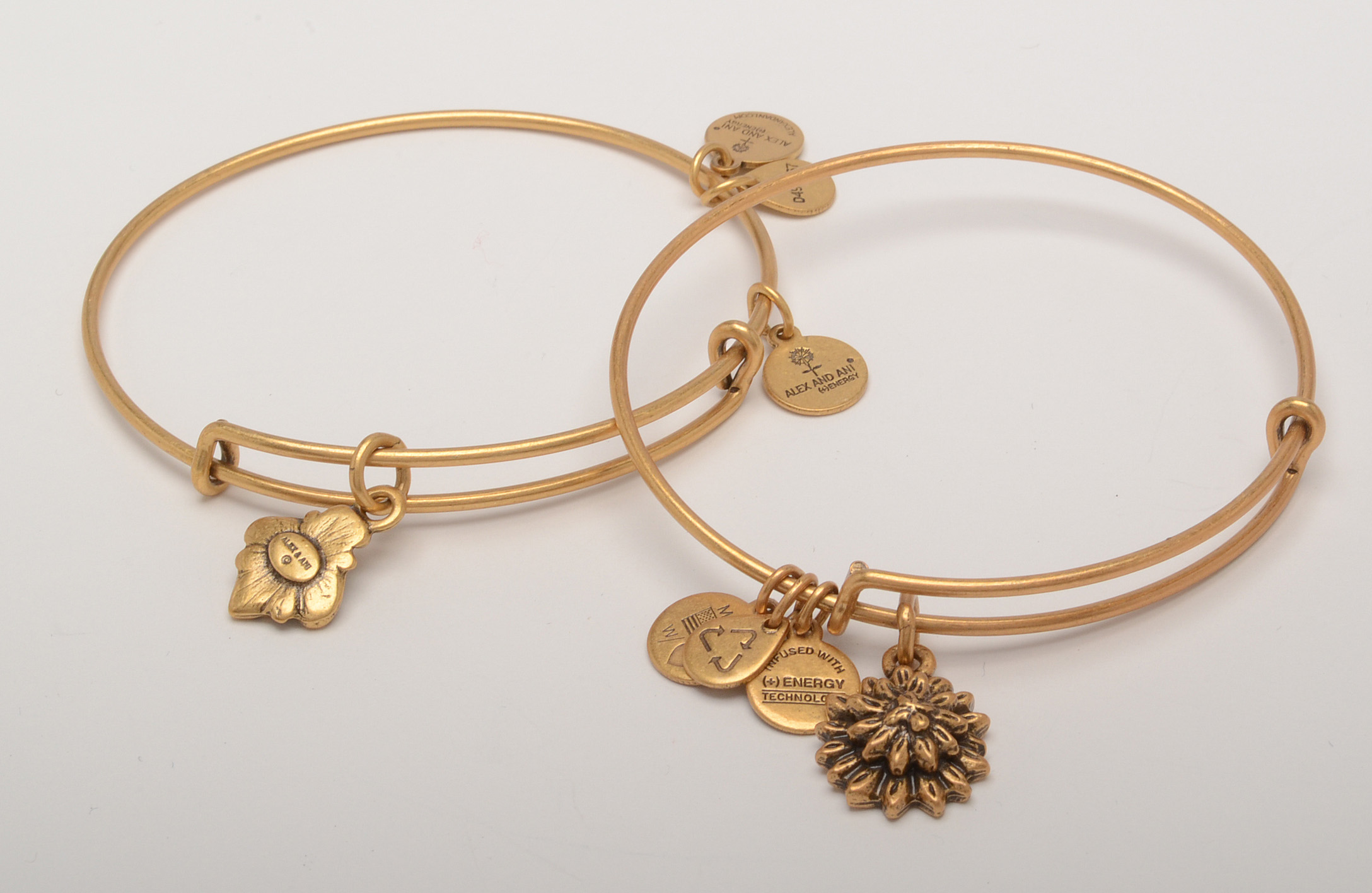 Alex and Ani Charm Bracelets