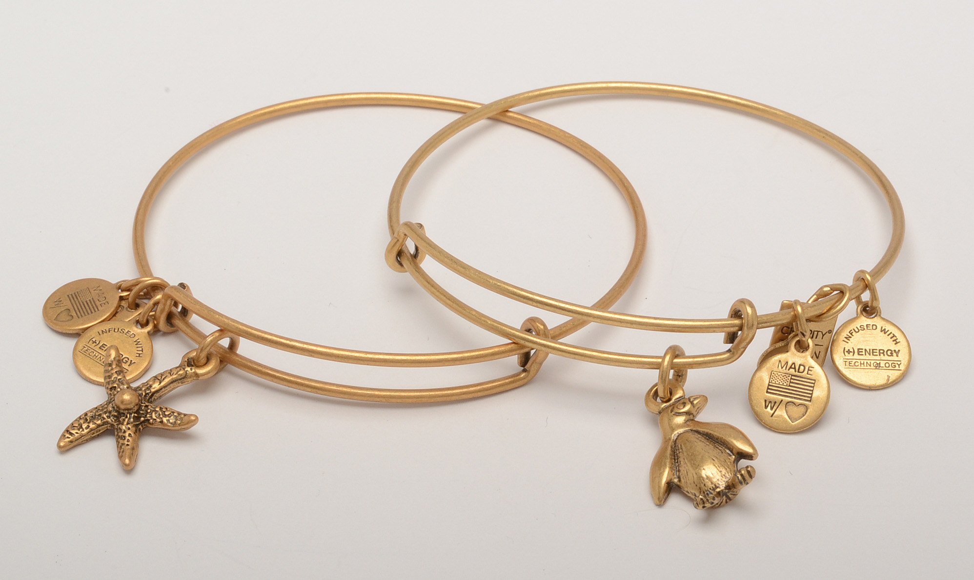 Alex and Ani Charm Bracelets