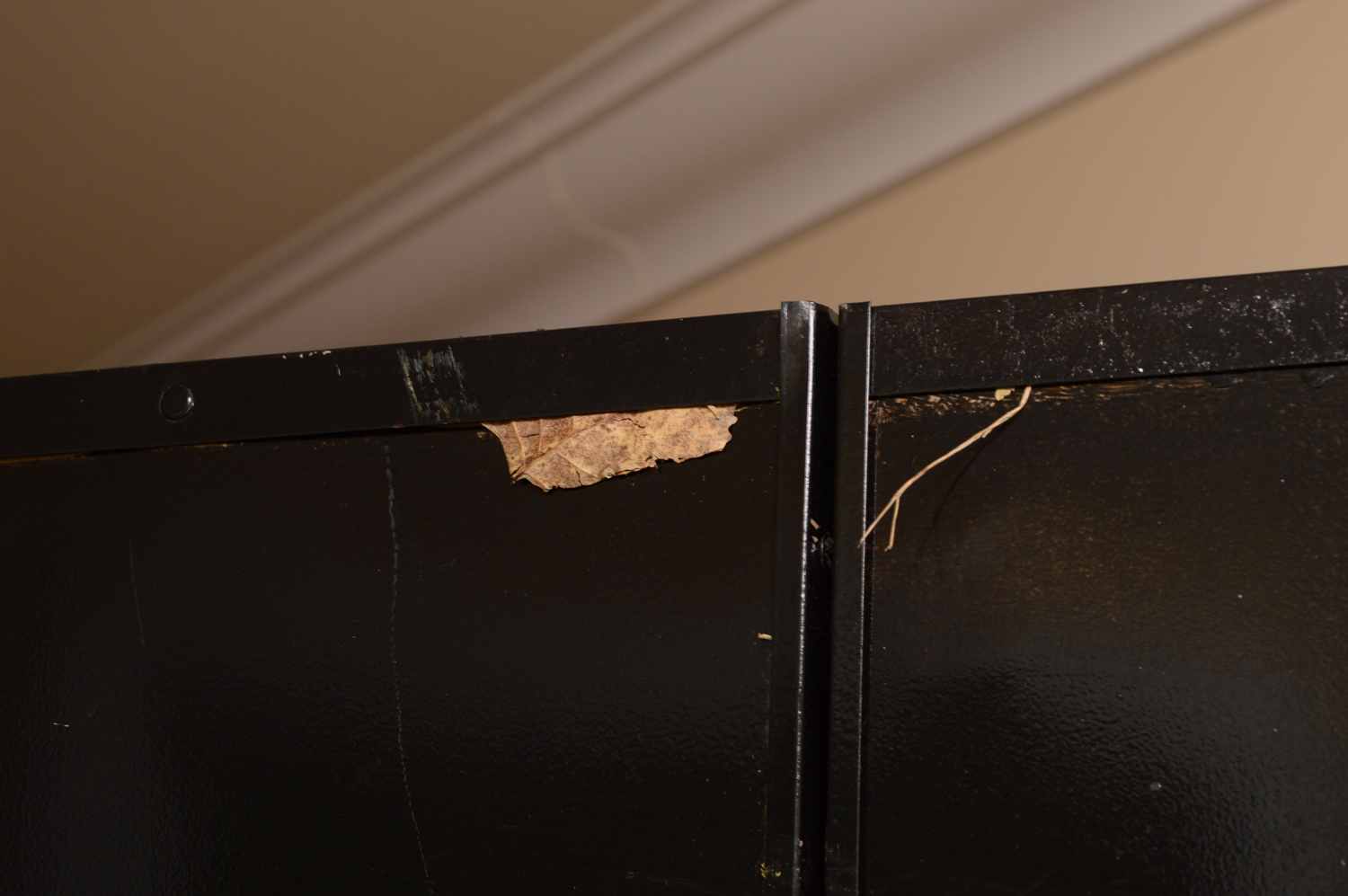 Metal Locker with Graffiti