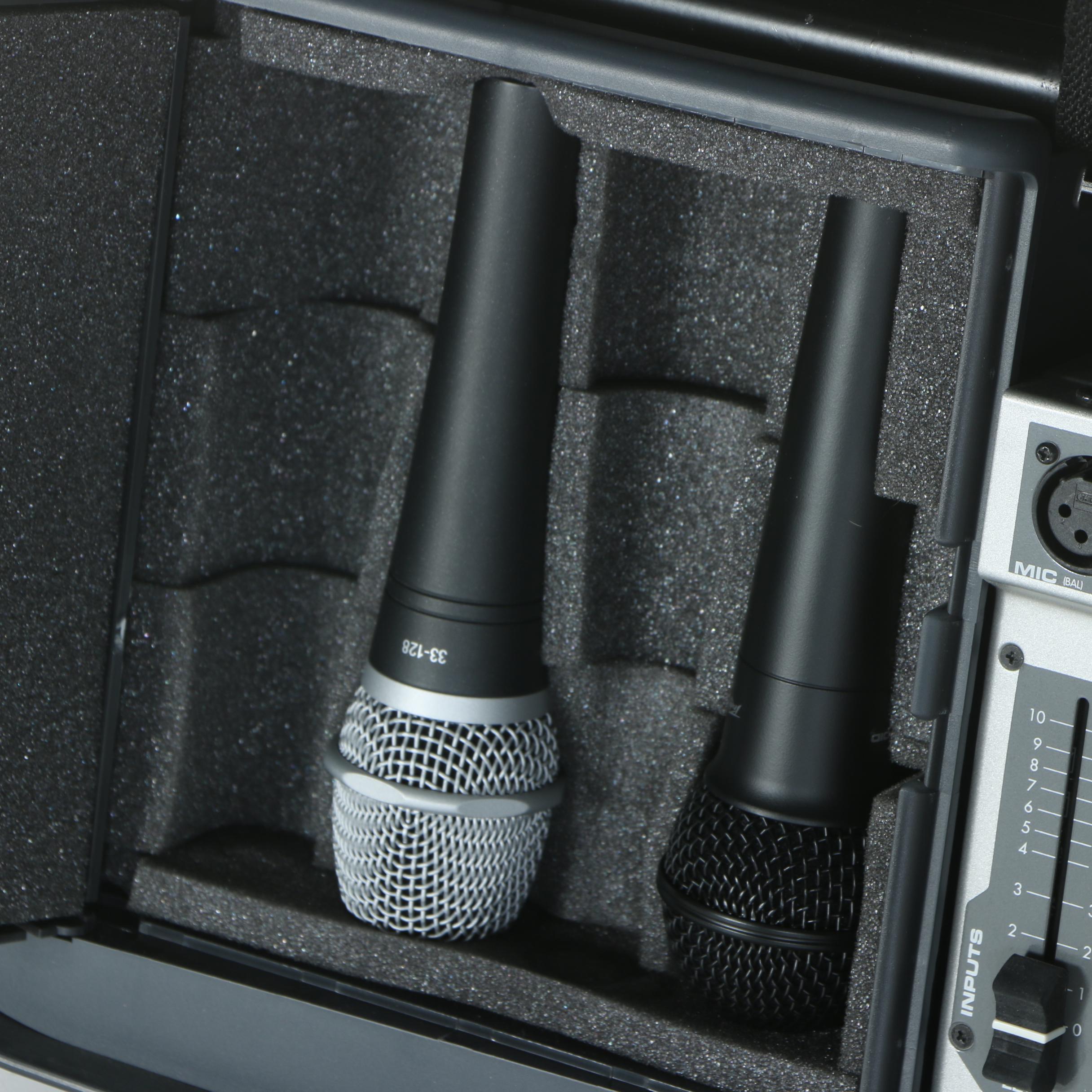 Peavey Escort PA System with Microphones